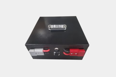 48V 36AH LiFePO4 AGV Battery Pack