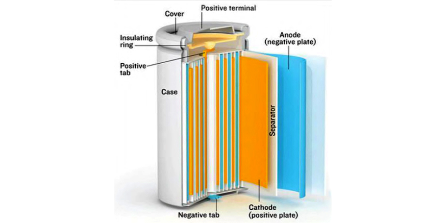 Cell structure diagram