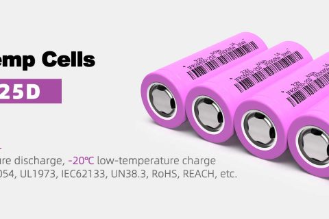low temperature battery sales