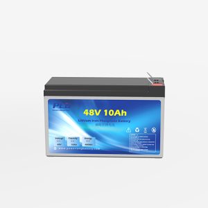 48V 10Ah lithium battery