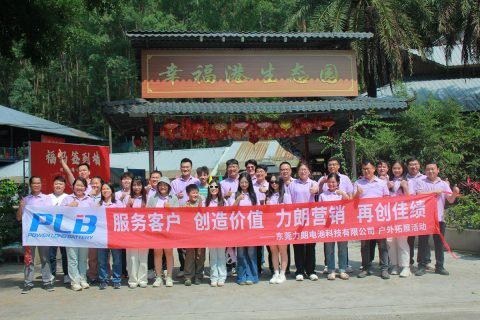 PLB Battery Marketing and Sales Center Holds Outdoor Team-Building Activity to Strengthen Team Cohesion